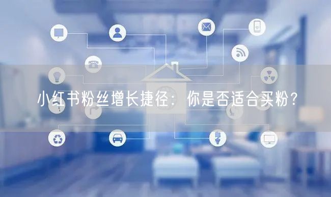 小红书粉丝增长捷径：你是否适合买粉？