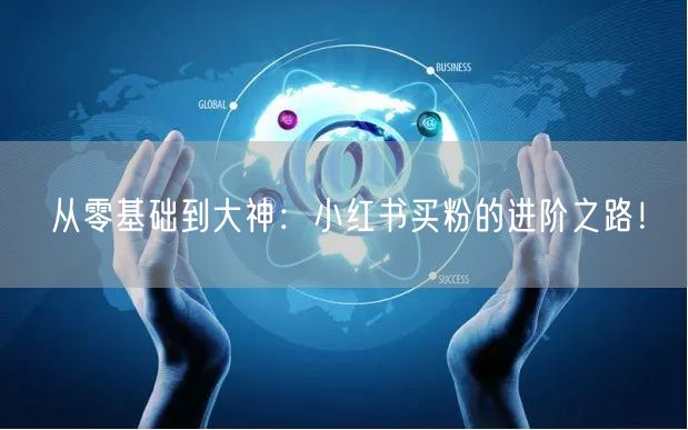 从零基础到大神：小红书买粉的进阶之路！