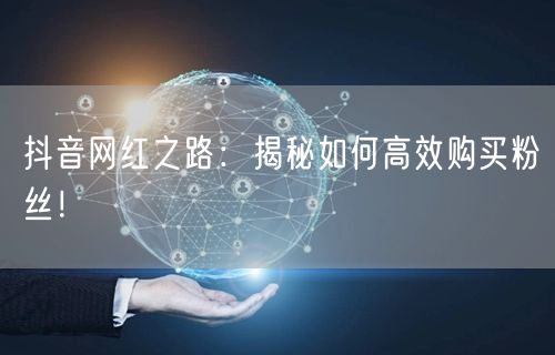 抖音网红之路：揭秘如何高效购买粉丝！