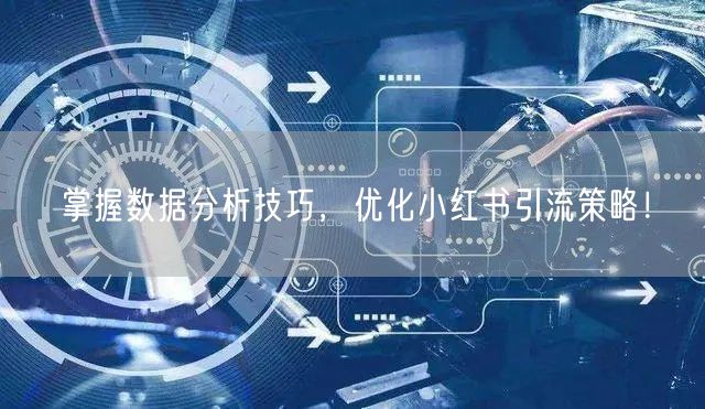 掌握数据分析技巧，优化小红书引流策略！