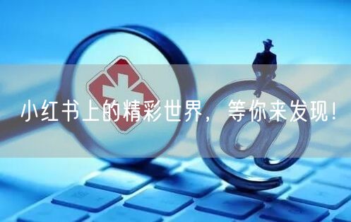 小红书上的精彩世界，等你来发现！