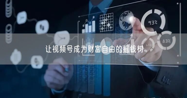 让视频号成为财富自由的摇钱树